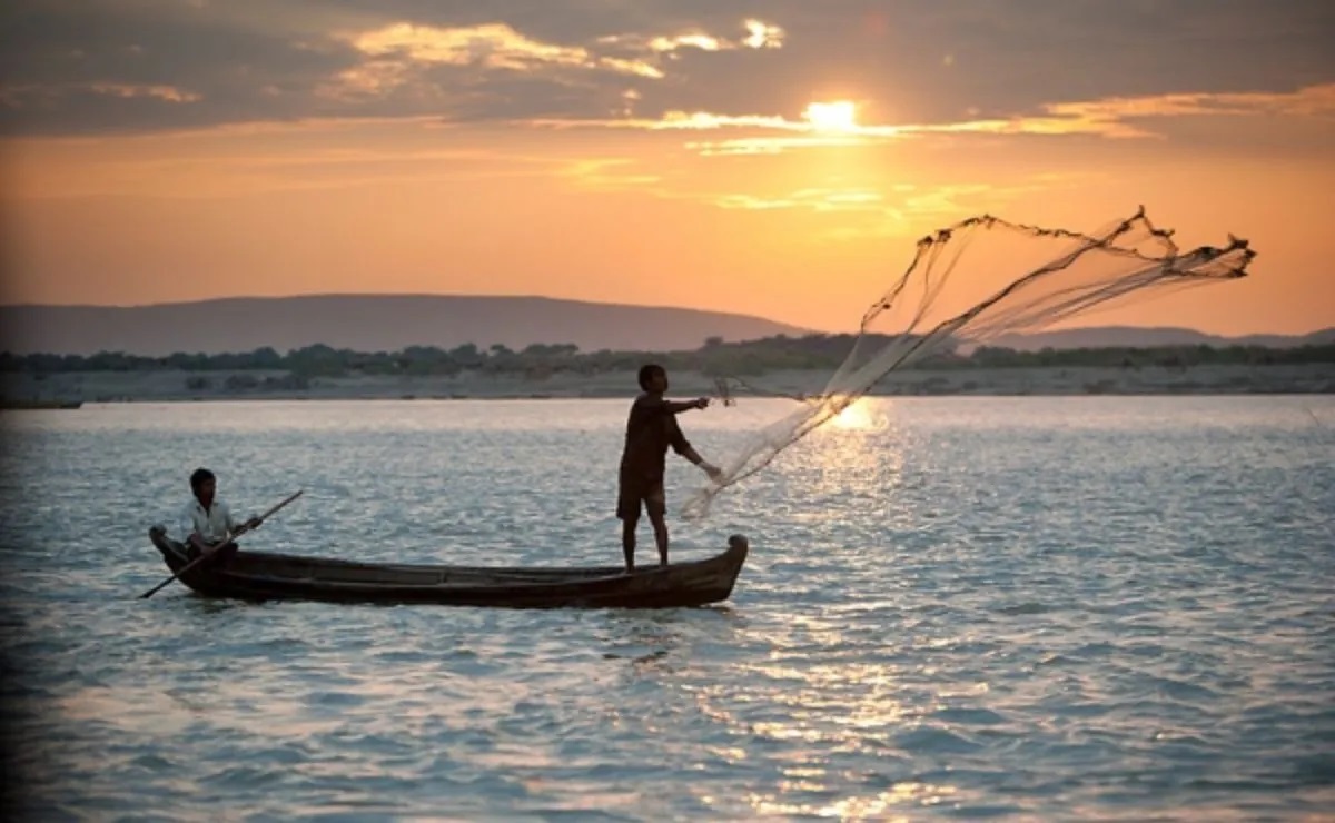 Como está Colombia de indicadores biológicos y económicos de la pesca: Unimagdalena nos cuenta