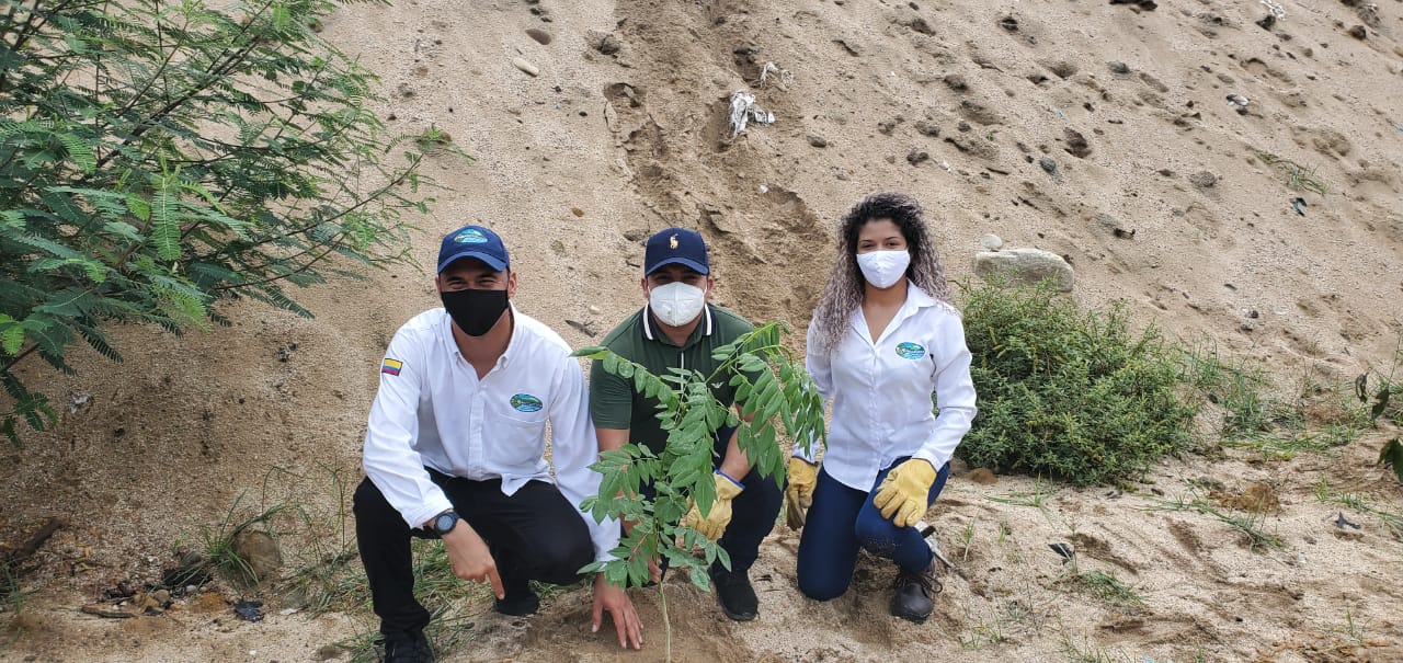 «Con motivo del Día del Árbol, nuestro aporte   más de 2 mil árboles sembrados»: Carlos F Diaz Granados