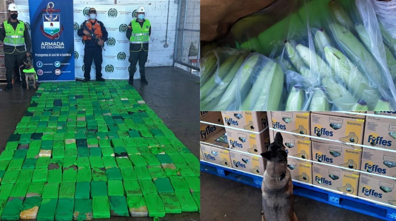 Puerto de Santa Marta no pierde el vicio: Descubren más de 290 kilos de cocaína ocultos en un cargamento de bananos