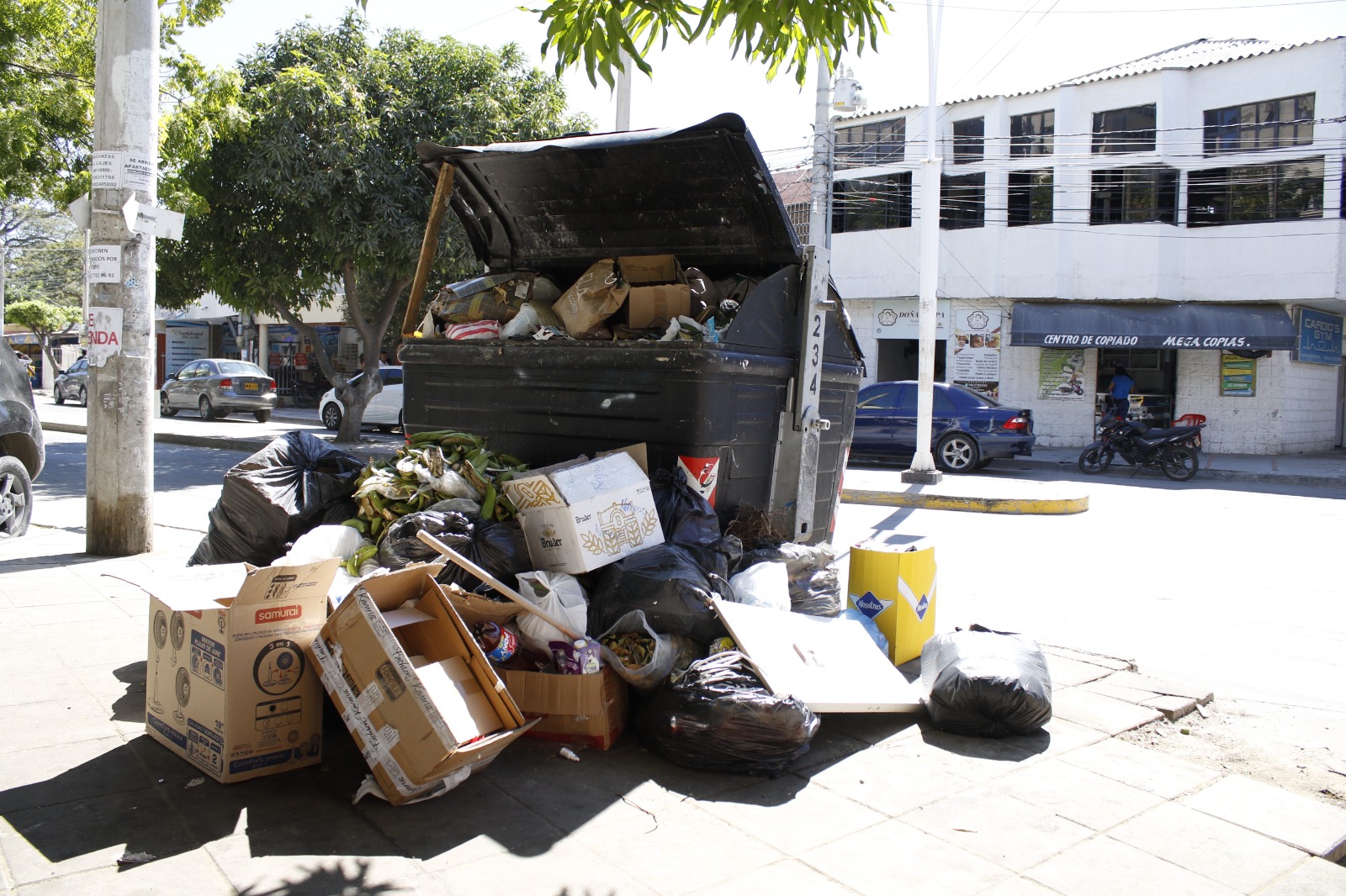 ATESA, “Mantener limpia la ciudad no es un favor, es una obligación”: La Alcaldesa